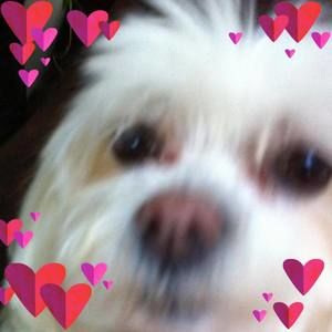 Meet your Posher, Dawne